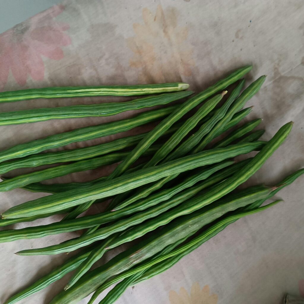 moringa  health benefits